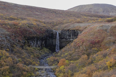 Svartifoss waterfall with basalt stone pillars, iceland. most beautiful waterfall in iceland. 