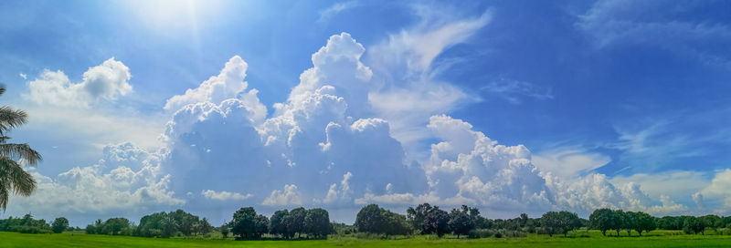 Panoramic view of trees on field against sky