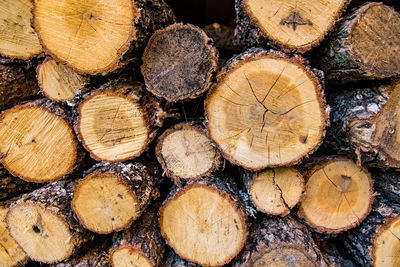 timber