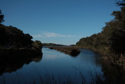 Reflection of trees in calm lake