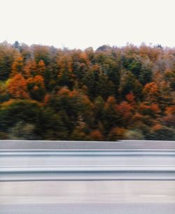 Road by trees against sky