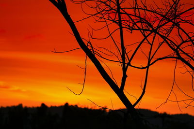 Silhouette bare tree against dramatic sky during sunset