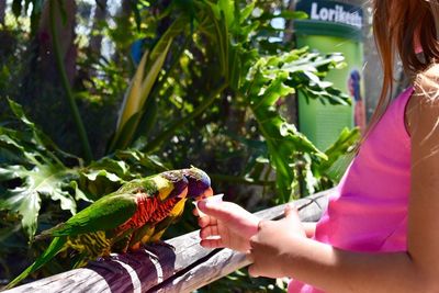 Close-up of woman holding bird perching on hand