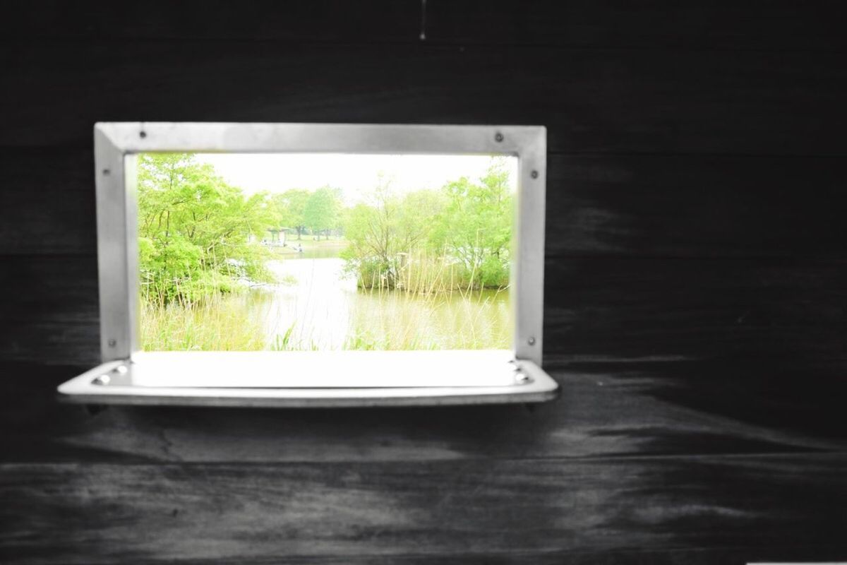 indoors, window, table, tree, glass - material, empty, transparent, absence, water, reflection, plant, growth, chair, day, green color, no people, nature, home interior, glass, potted plant