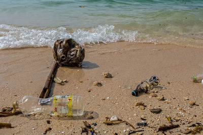 View of crab on beach