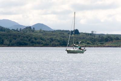 Sailboat sailing on sea against sky