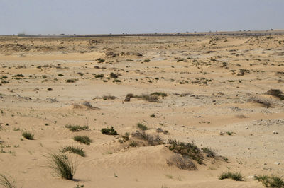 Scenic view of desert against clear sky