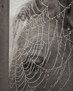 Close-up of water drops on spider web