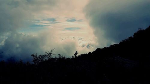 Low angle view of silhouette trees against sky at sunset