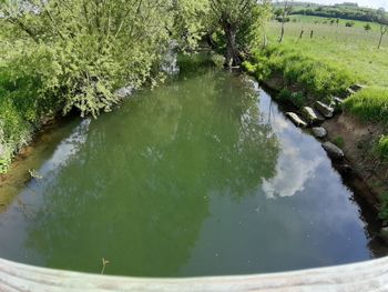 High angle view of fish in lake