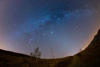 Low angle view of trees against star field at night