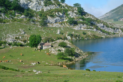 Panoramic river covadonga 