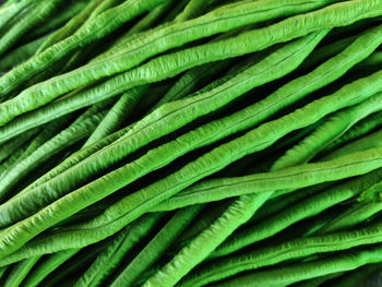 Full frame close-up background of fresh green long pea