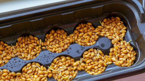 High angle view of food on table