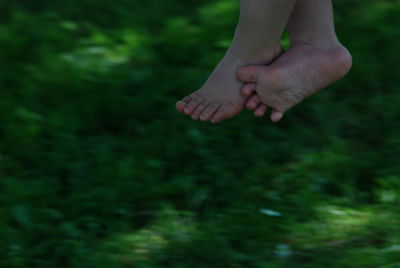 Low section of child hanging against trees