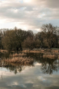 Reflection of trees in lake against sky