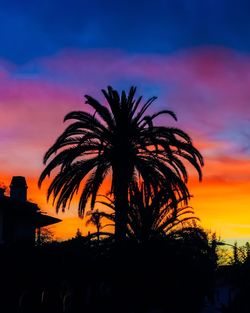 Silhouette of trees against dramatic sky