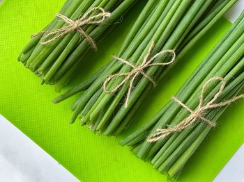 Close-up of bamboos