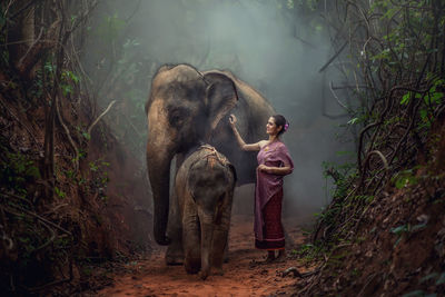 Full length of elephant standing on land in forest