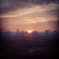 Silhouette of trees on landscape at sunset