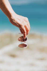 Close-up of man holding seashell at beach