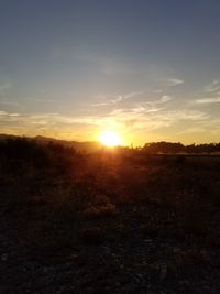 Scenic view of field against sky during sunset