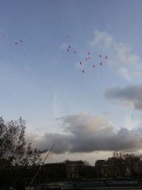 Birds flying against cloudy sky