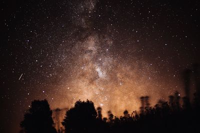 Low angle view of silhouette trees against sky at night