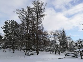 Bare trees on snow field against sky