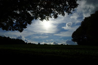 Silhouette trees on field against sky