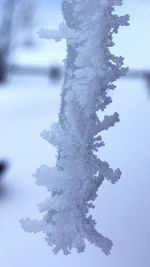 Close-up of frost on snow covered landscape