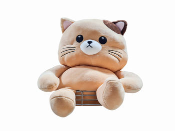 stuffed toy