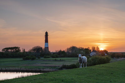 Panoramic image of pellworm lighthouse against sunrise, north frisia, germany