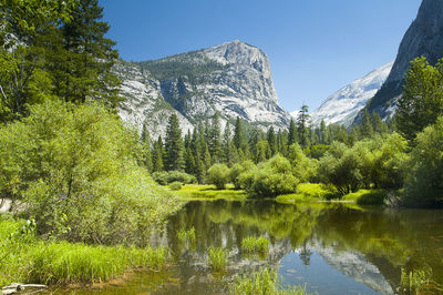 Scenic view of lake by trees against sky at yosemite natio al park