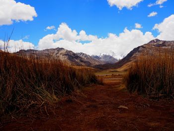 Dirt road amidst field against sky