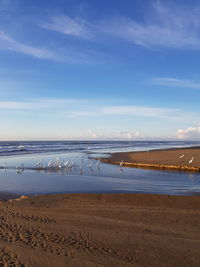 Scenic view of beach against blue sky