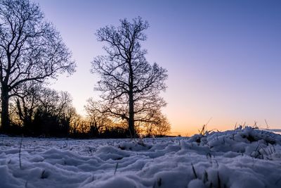 Trees on snow field against sky during sunset