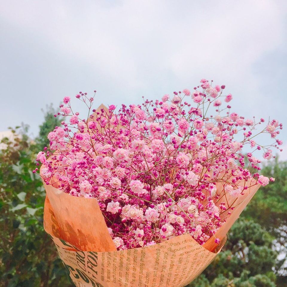 flower, freshness, pink color, close-up, growth, fragility, person, focus on foreground, holding, beauty in nature, personal perspective, nature, sky, blossom, softness, in bloom, cloud - sky, day, springtime, human finger, botany, bunch, flower tree