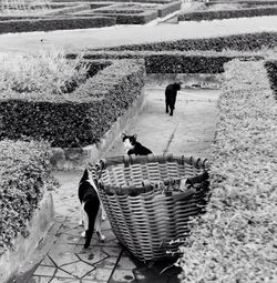 Woman standing on footpath