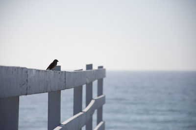 View of sea against sky
