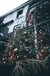 Close-up of christmas tree against building