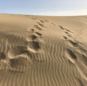 Footprints on sand dune in desert
