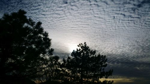 Low angle view of trees against cloudy sky