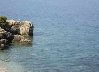 High angle view of rock in sea