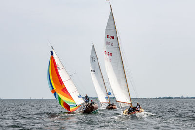 Sailboat sailing in sea against clear sky