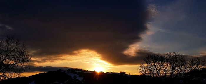 Silhouette trees against sky during sunset