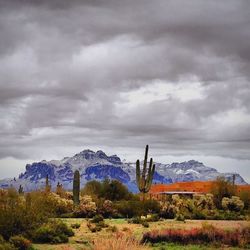 Scenic view of landscape against cloudy sky
