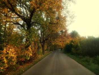 Road amidst trees against sky during autumn