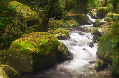 River flowing through rocks