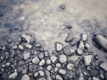 High angle view of stones on wet shore